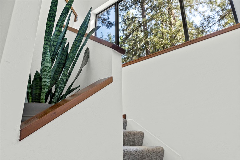 Vacation Rentals (United States of America, Guerneville, California)