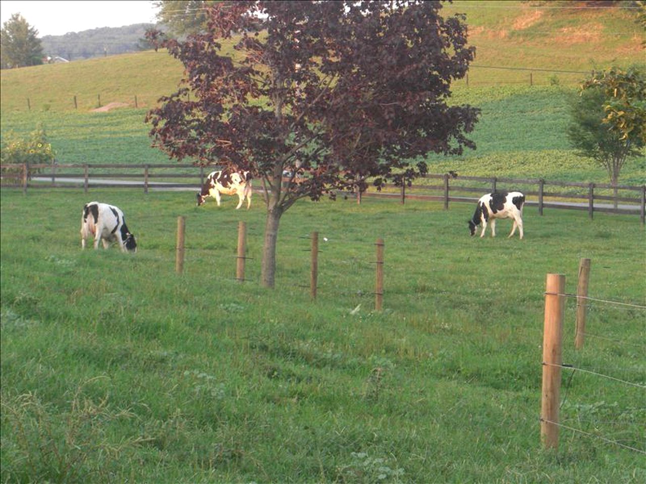 Charming Vacation Rental on a Farm in Amish Country, Pennsylvania