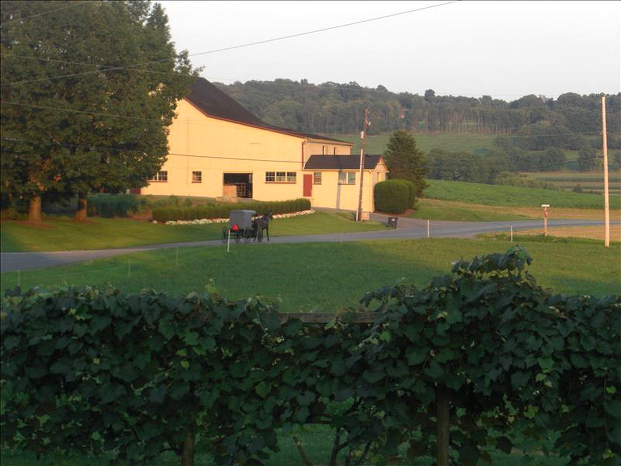 Charming Vacation Rental on a Farm in Amish Country, Pennsylvania