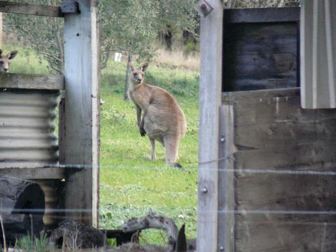 Nature Lodges (Mudgee, New South Wales, Australia)