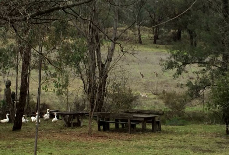 Nature Lodges (Mudgee, New South Wales, Australia)