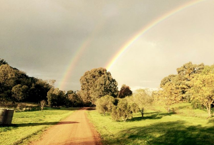 Nature Lodges (Mudgee, New South Wales, Australia)