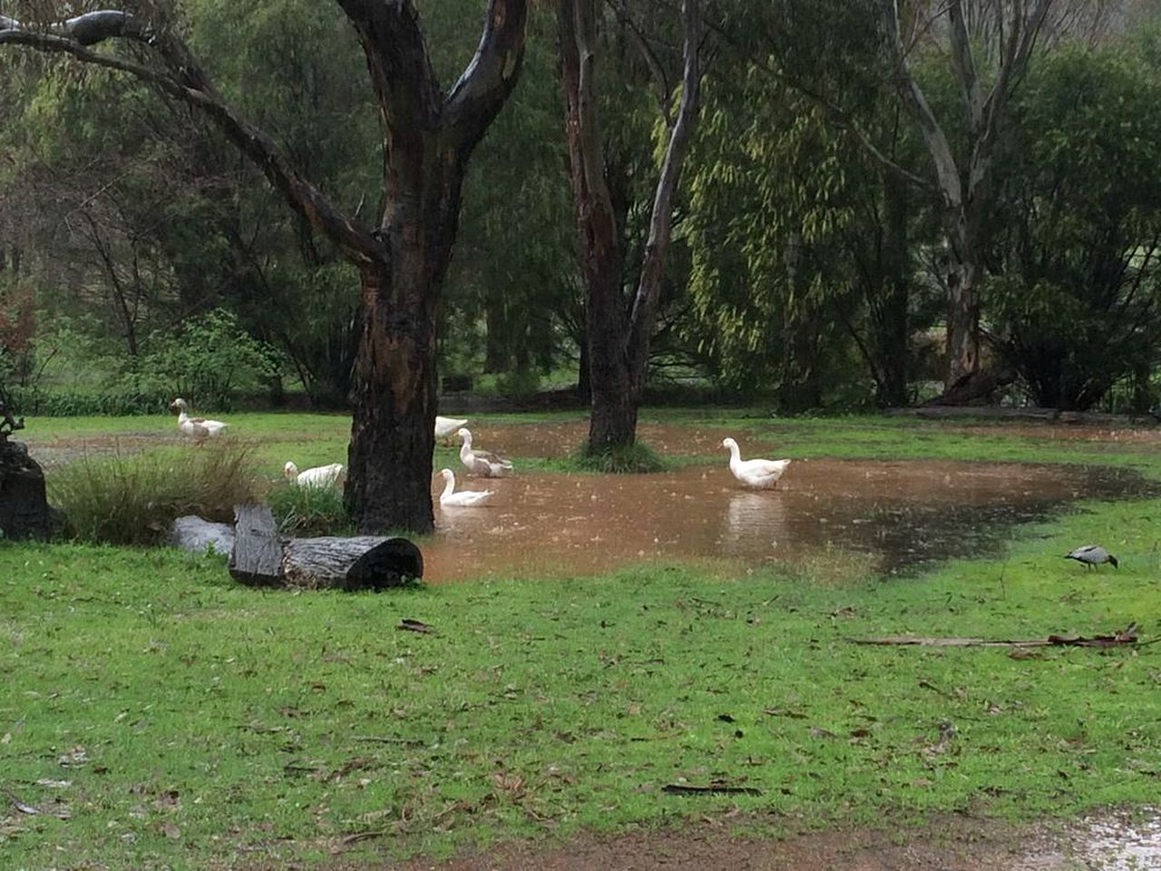 Romantic Cottage Rental in Australia's Wine Country, New South Wales