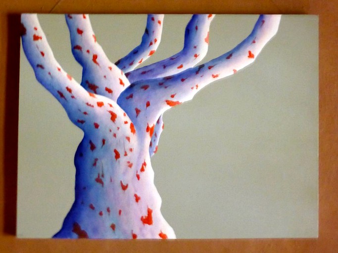 Nature Lodges (Mudgee, New South Wales, Australia)