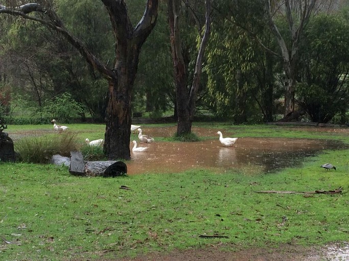 Nature Lodges (Mudgee, New South Wales, Australia)