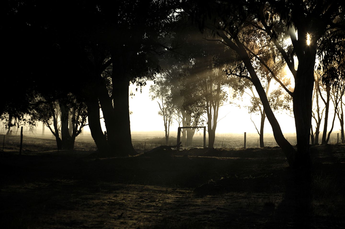 Charming Luxury Suite near Wollemi National Park in Mudgee, Australia