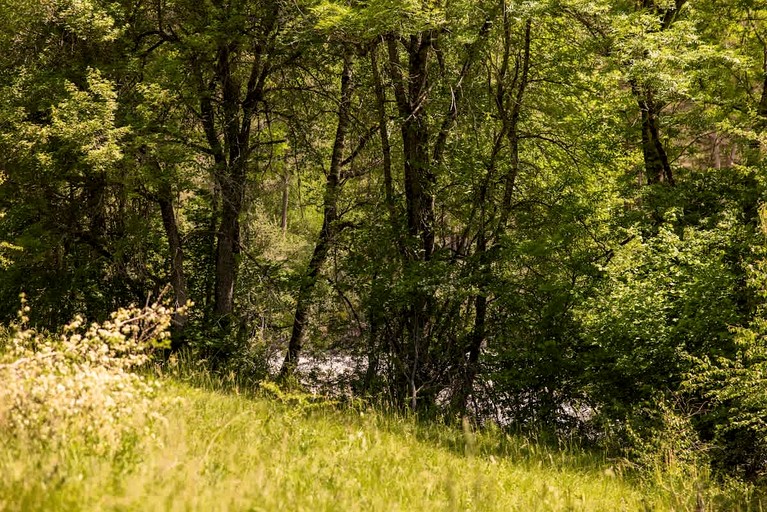 Vacation Rentals (France, --, Provence-Alpes-Côte d'Azur)