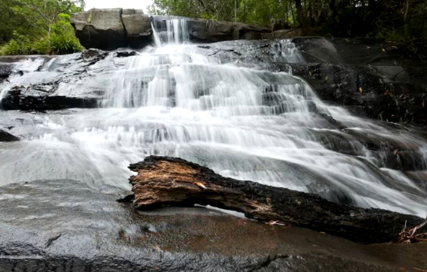 Secluded Luxury Cabin in the Rainforest of Bandon Grove, New South Wales