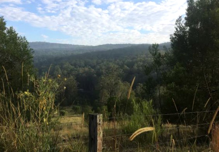 Cabins (Bandon Grove, New South Wales, Australia)