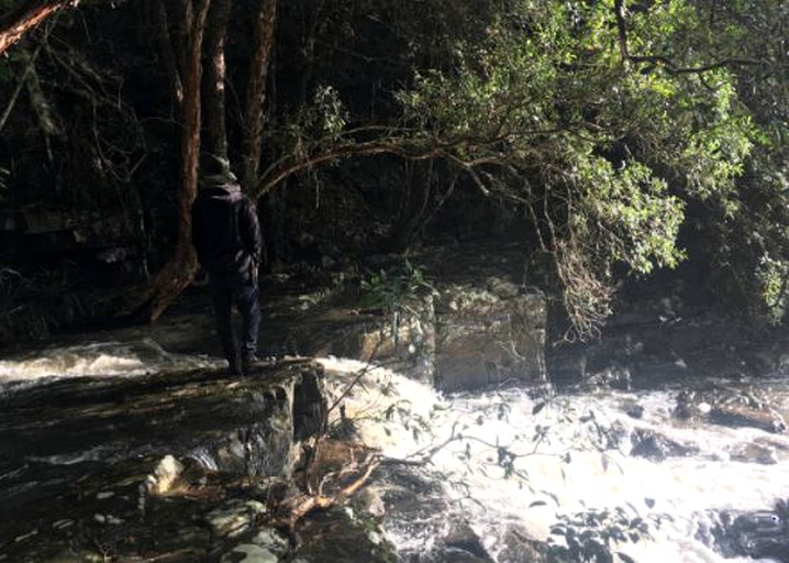 Cabins (Bandon Grove, New South Wales, Australia)