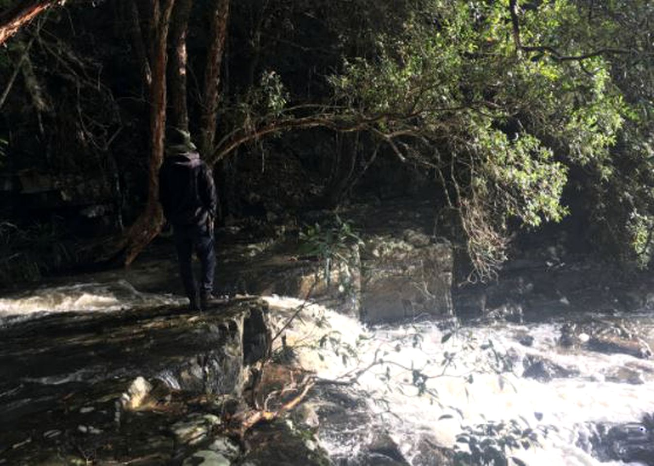 Secluded Luxury Cabin in the Rainforest of Bandon Grove, New South Wales