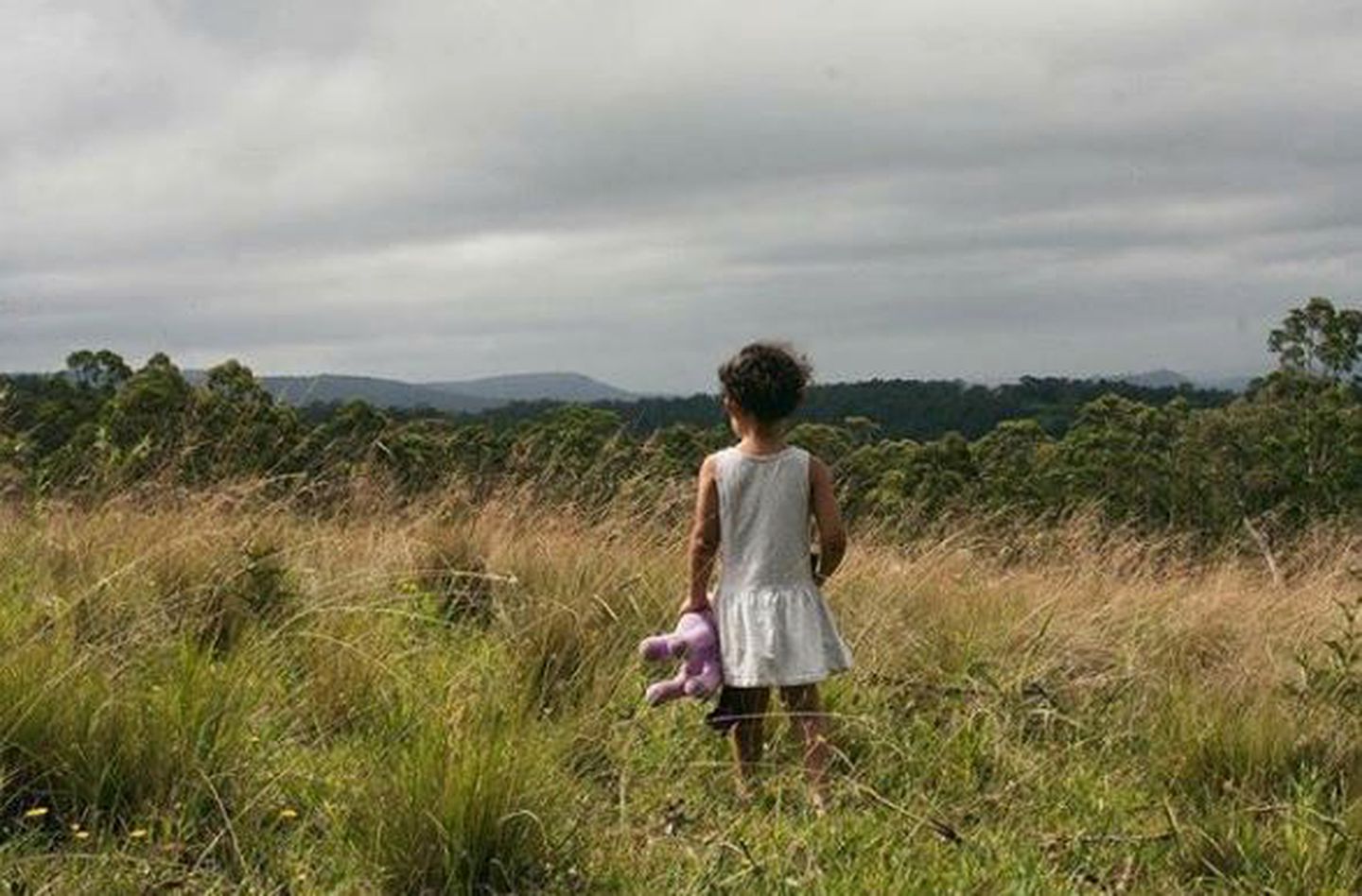 Secluded Luxury Cabin in the Rainforest of Bandon Grove, New South Wales