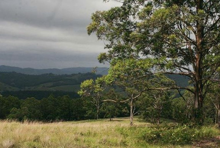 Cabins (Bandon Grove, New South Wales, Australia)