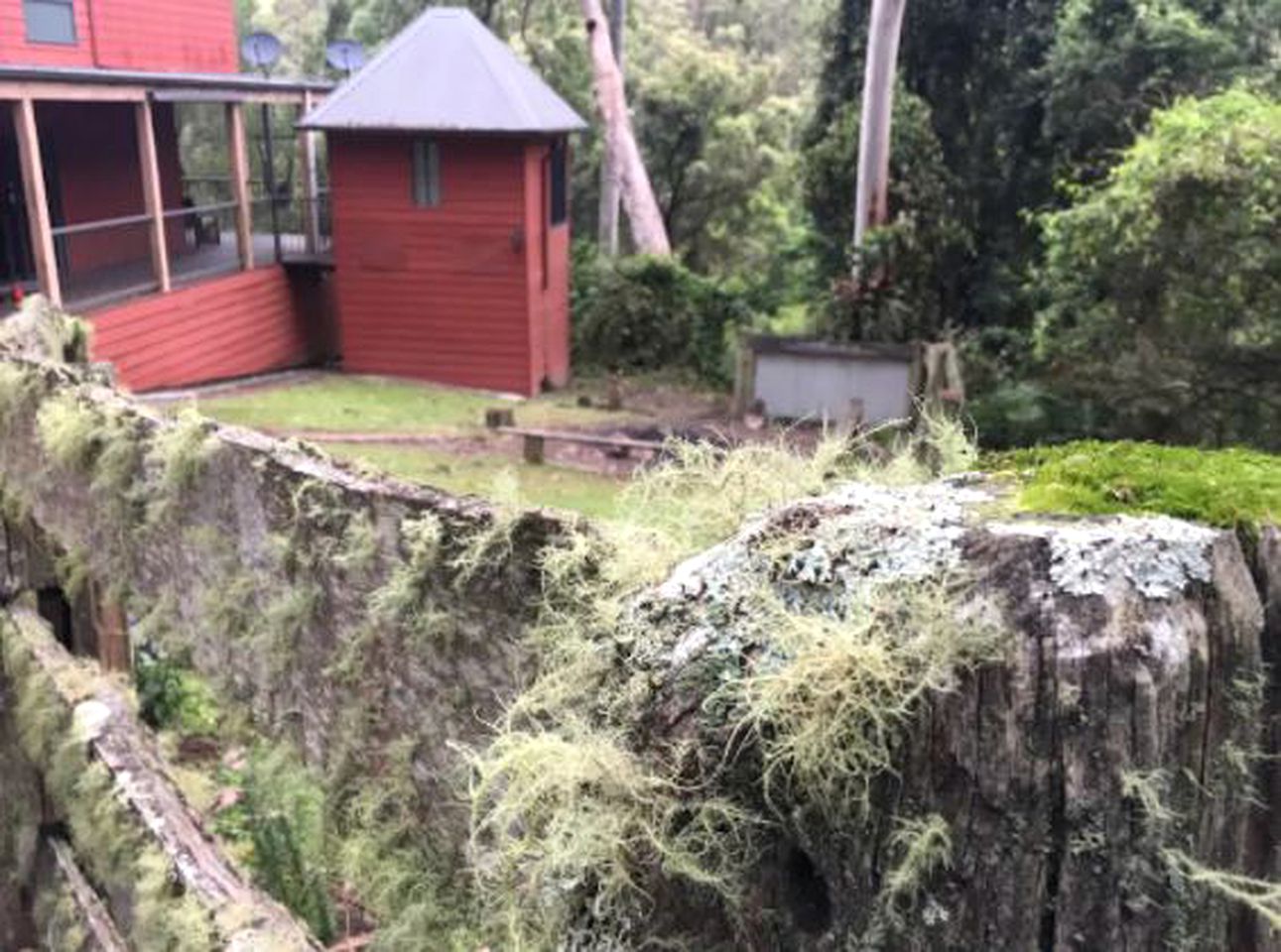 Secluded Luxury Cabin in the Rainforest of Bandon Grove, New South Wales