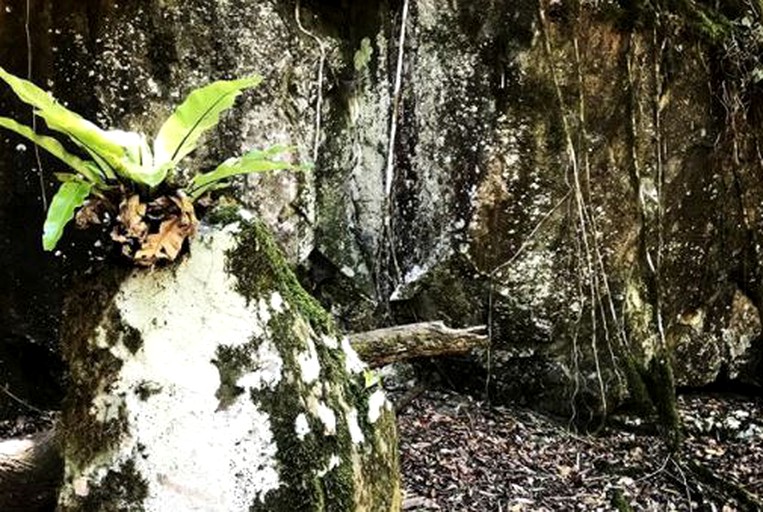 Cabins (Bandon Grove, New South Wales, Australia)