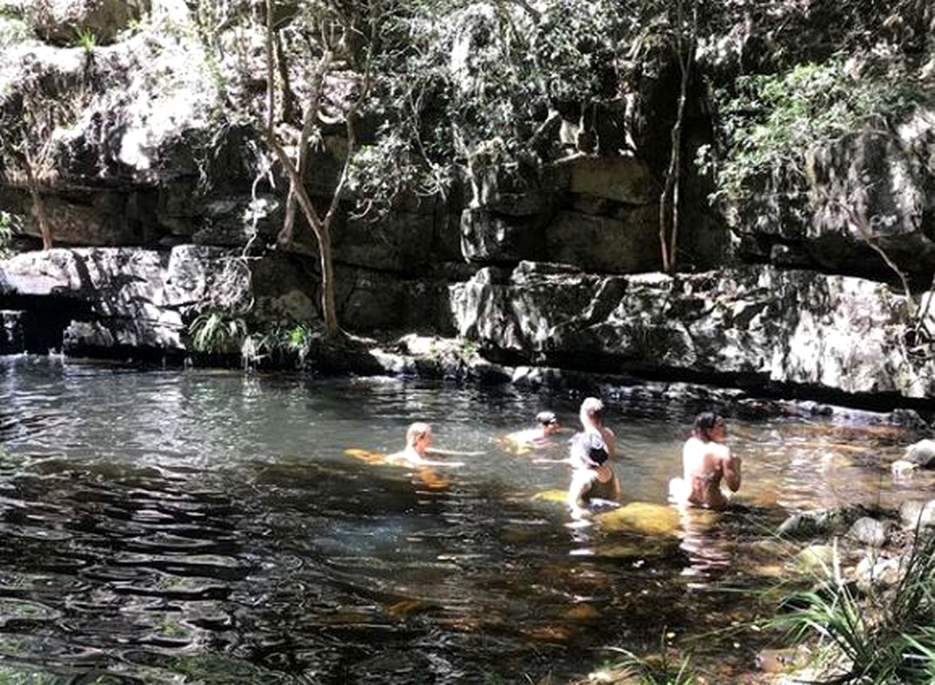 Secluded Luxury Cabin in the Rainforest of Bandon Grove, New South Wales