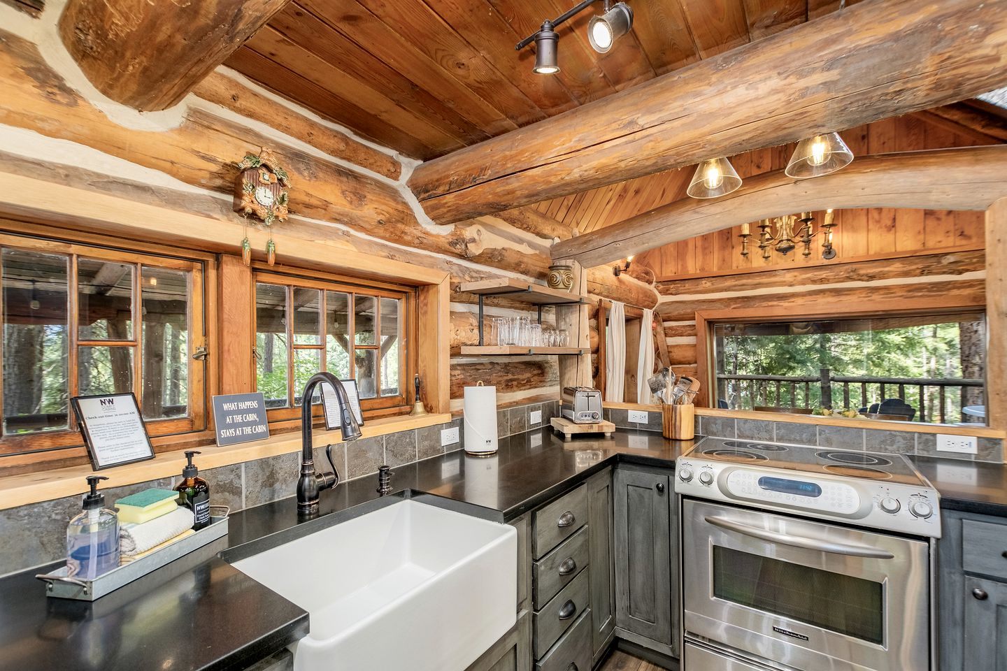 Pet-Friendly Cabin Rental in Leavenworth, WA