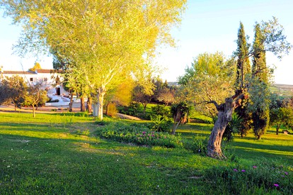 undefined photo 2