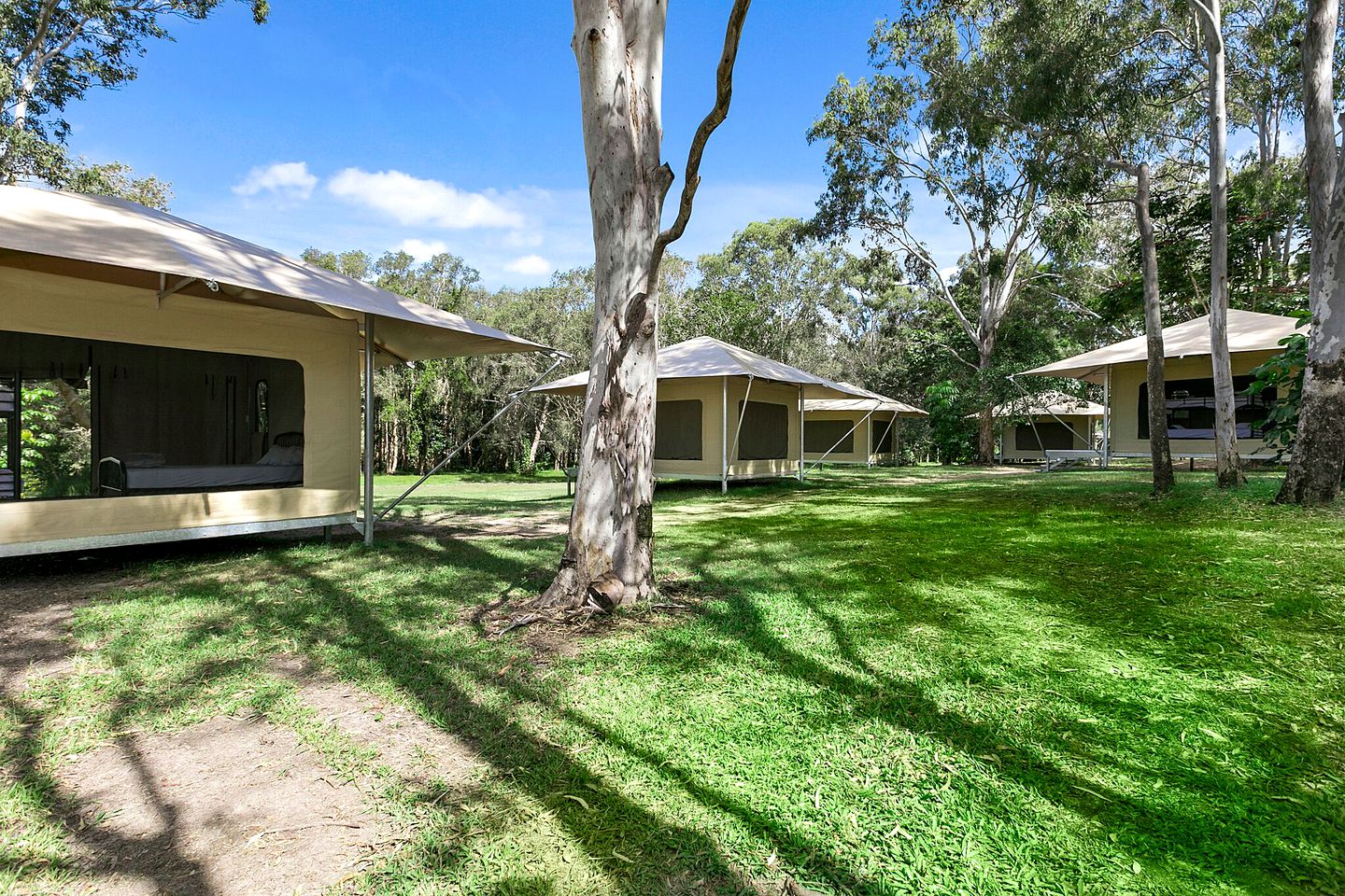 Comfortable Tent for a Glamping Getaway near Noosa National Park in Queensland