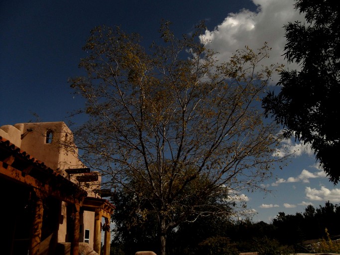 Nature Lodges (Los Cerrillos, New Mexico, United States)