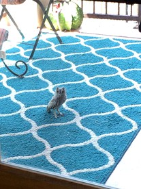 undefined photo 2
