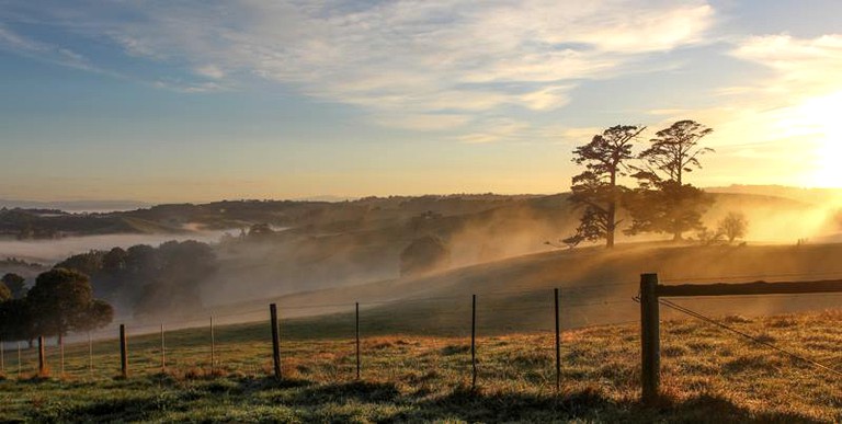 Nature Lodges (Strzelecki, Victoria, Australia)