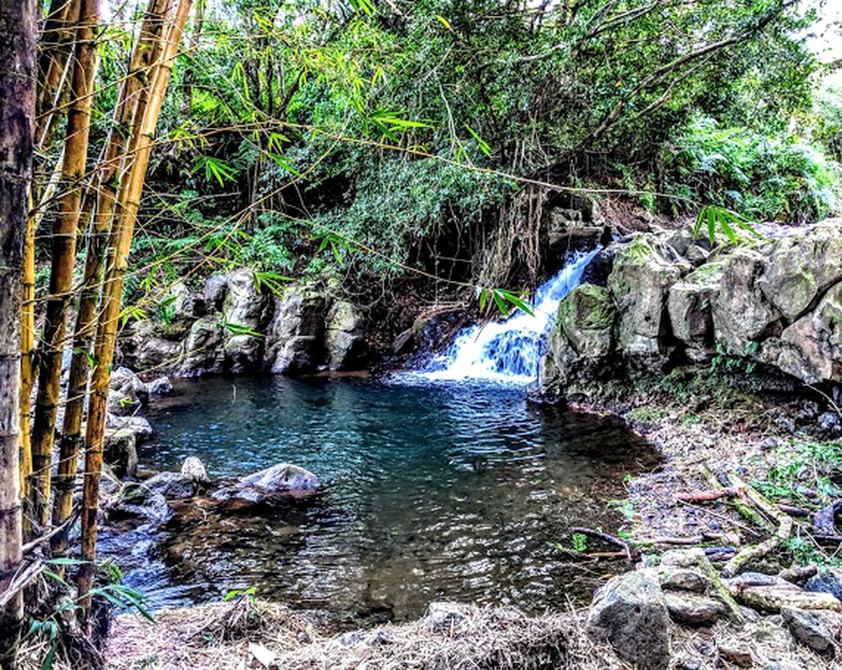 Fabulous Cabin Rental for a Glamping Getaway near Volcanoes National Park, Hawaii
