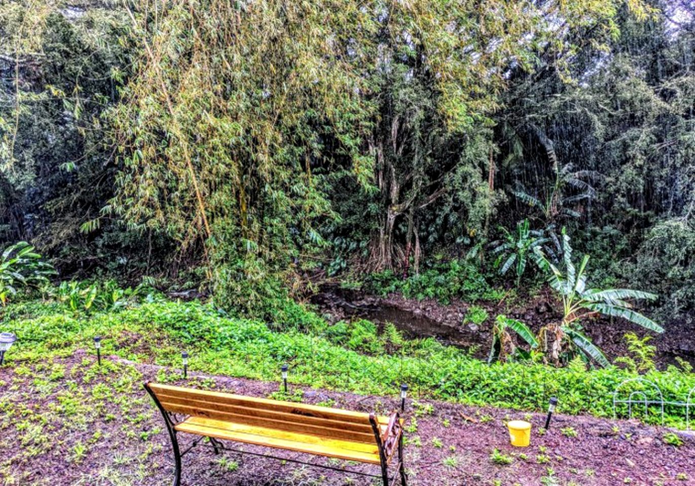 Stunning Cabin Rental near the Waipio Valley, Hawaii