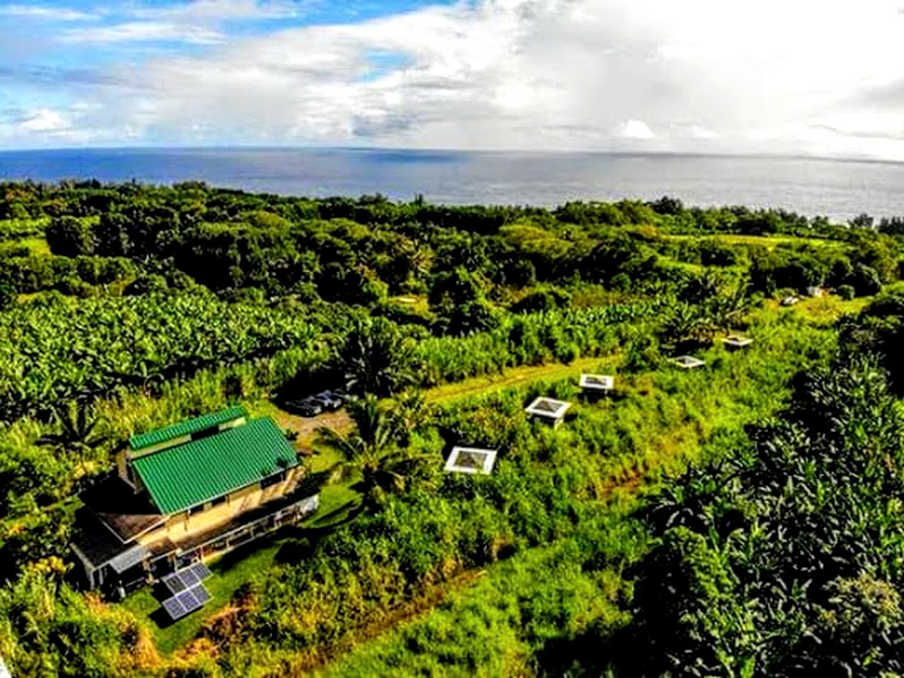 Stunning Cabin Rental near the Waipio Valley, Hawaii