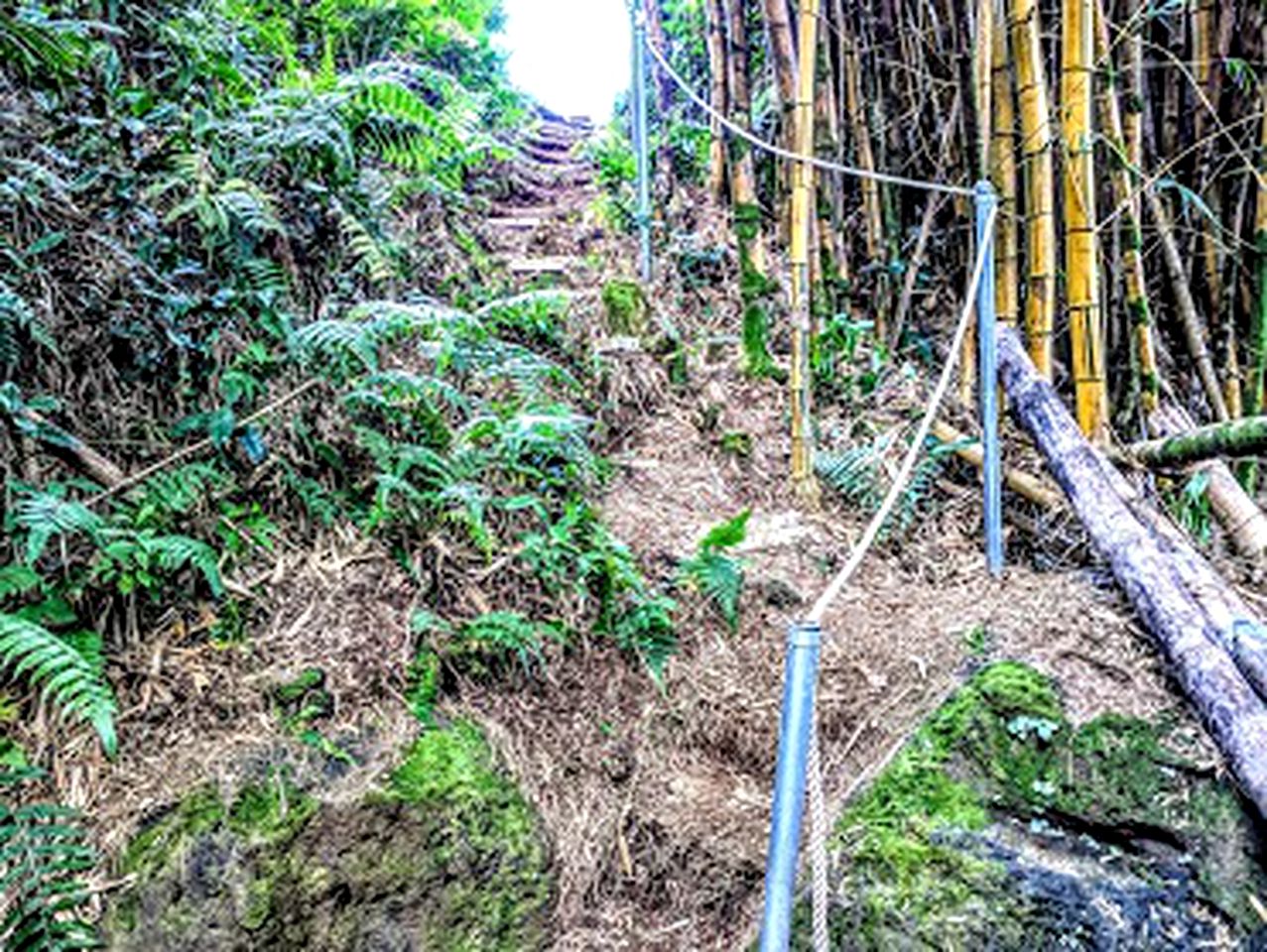 Stunning Cabin Rental near the Waipio Valley, Hawaii