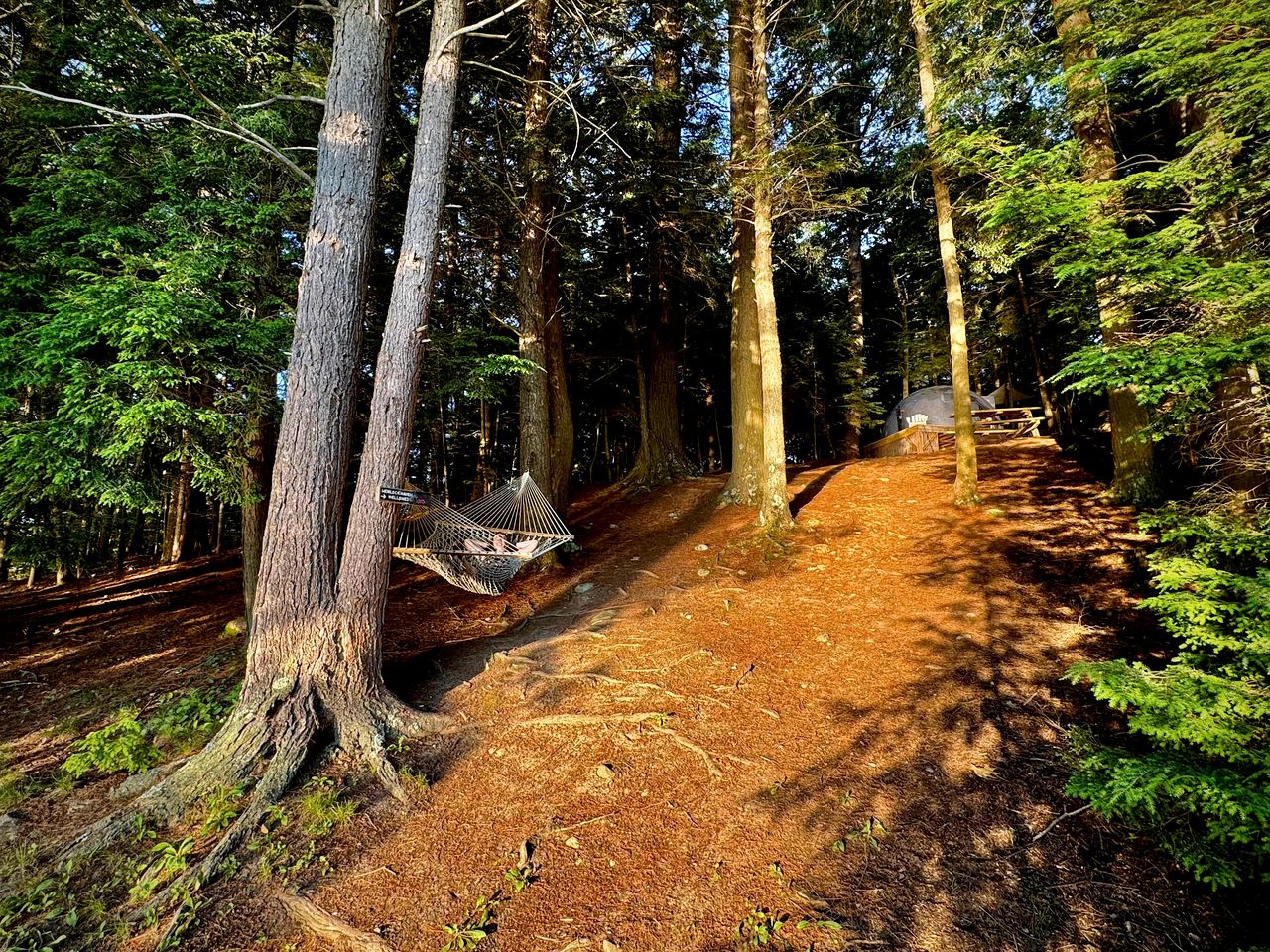 Hammock Haven Island Dome in Monmouth, ME