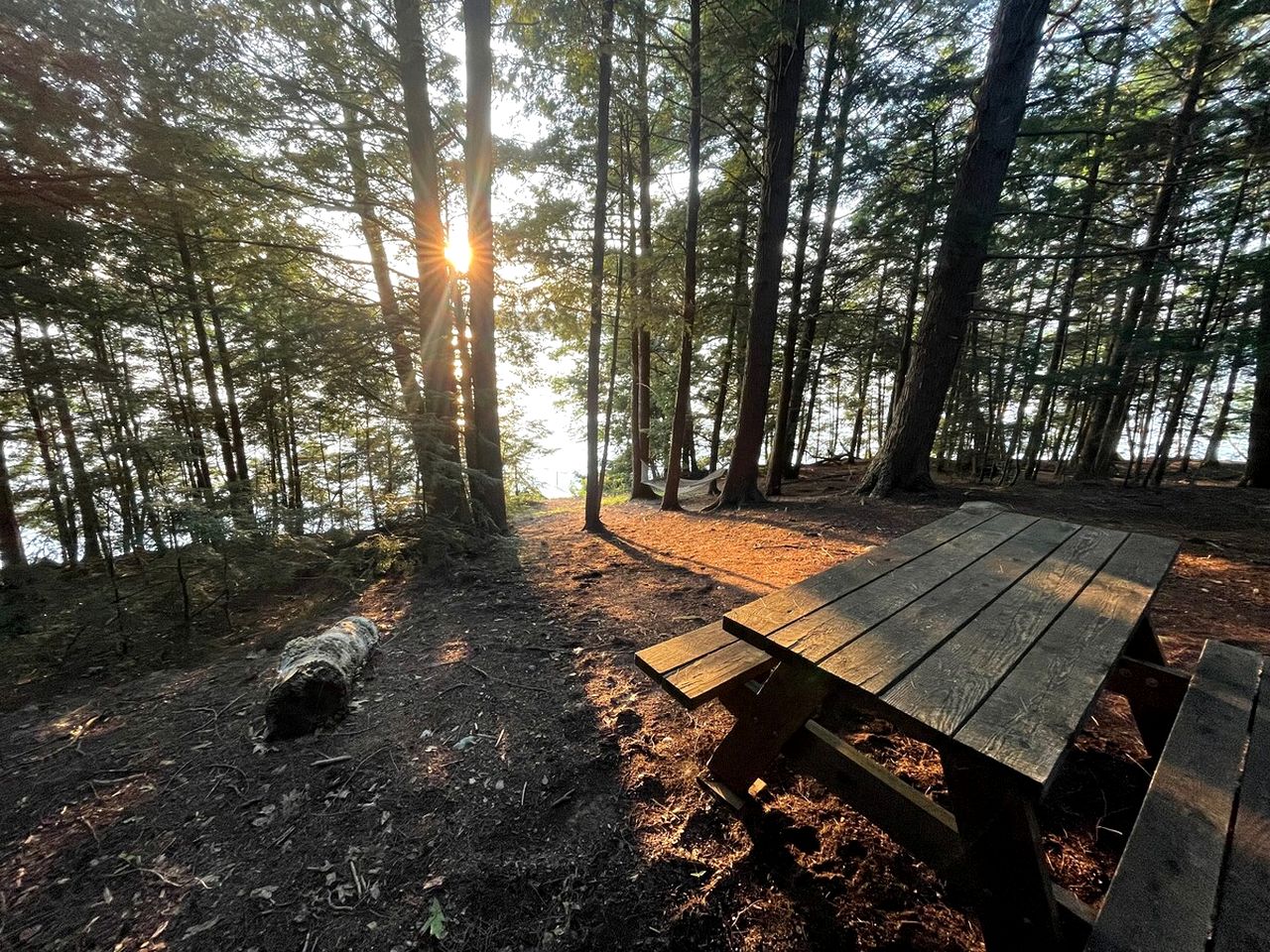 Hammock Haven Island Dome in Monmouth, ME
