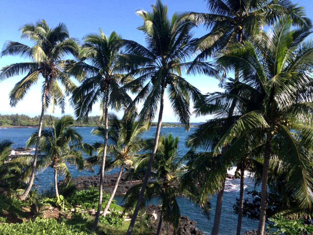 Secluded Cottage Maui, Hawaii Beach Vacations