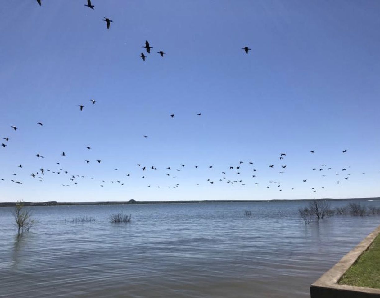 Cozy Cottage Rental on Picturesque Lake Buchanan in Texas Hill Country