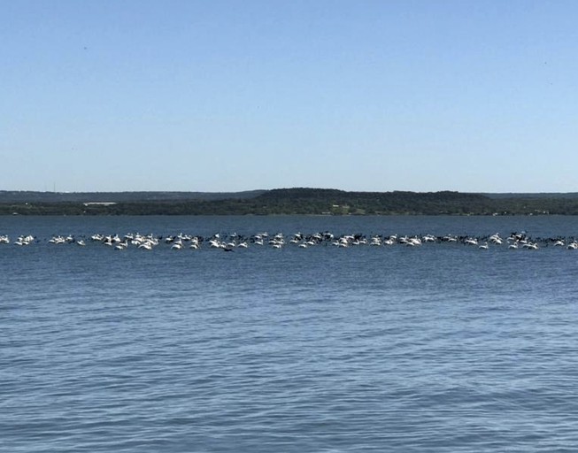 Cottages (Bluffton, Texas, United States)