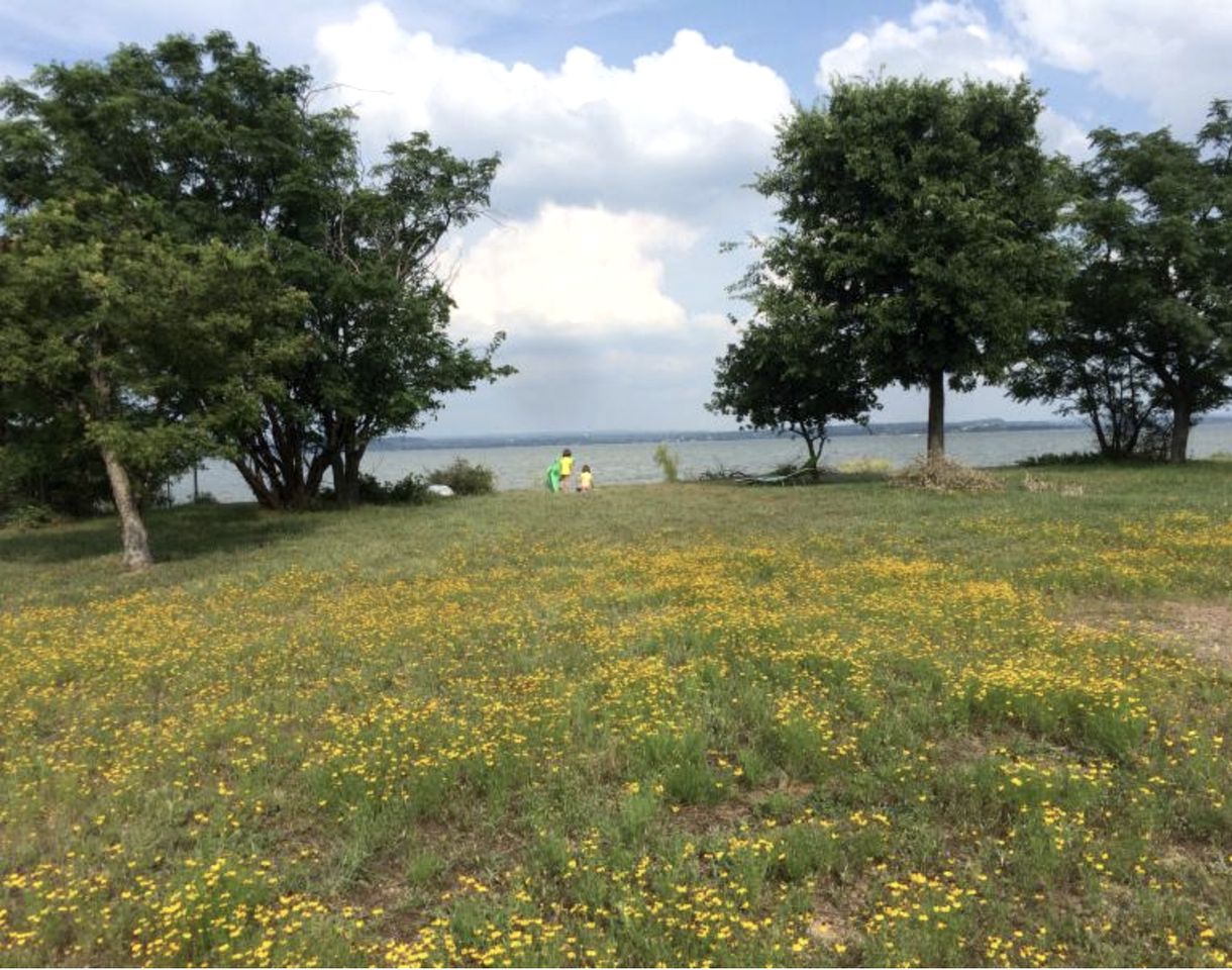 Cozy Cottage Rental on Picturesque Lake Buchanan in Texas Hill Country
