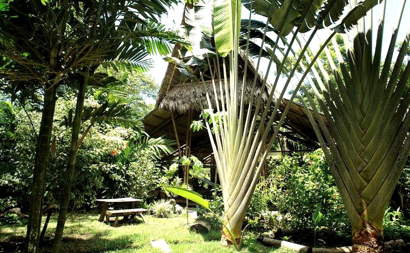 Hand-Crafted Tents between Costa Rican Rainforest and Beach