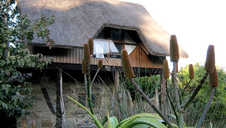 Tree Houses (East London, Eastern Cape, South Africa)