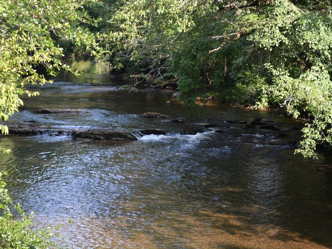 Handicap access Big Pine Cabin Rentals, Cabins, Blairsville, United