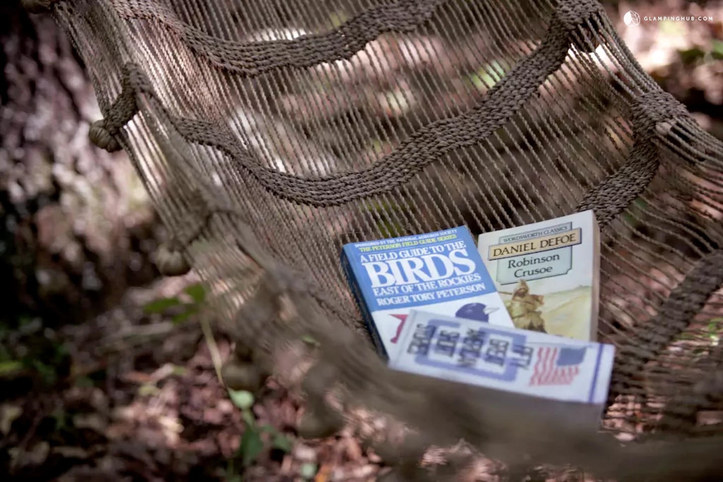 Hanging Tree Tent Rentals in 16Acre Forest Park Hills, Missouri