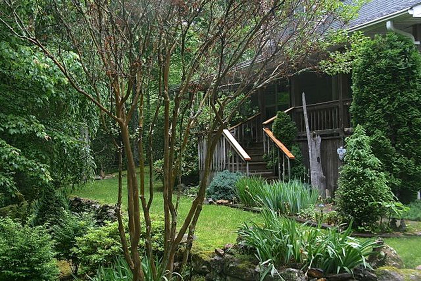 Simple Camping Cabin on Eight Private Forested Acres near Brevard, North Carolina