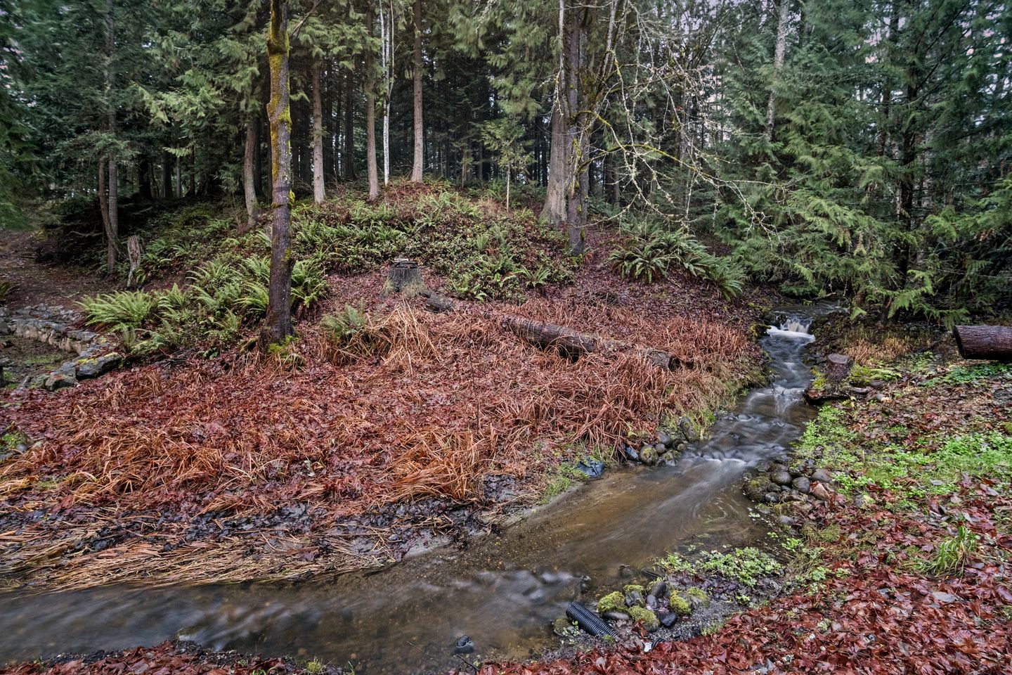 Cozy Caravan Nestled in a Serene Pacific Northwest Forest, Perfect for a Glamping Weekend in Nature
