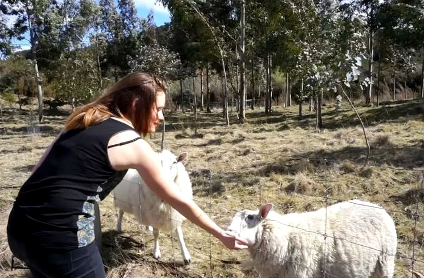 Superb Glamping Accommodation on the Alpine Pacific Route in Canterbury, South Island