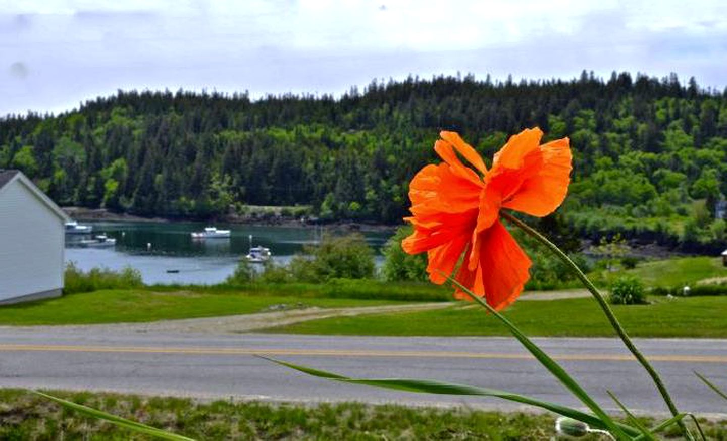 Delightful Cottage Rental with Stunning Harbor Views in Cutler, Maine