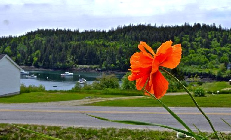 Cottages (Cutler, Maine, United States)