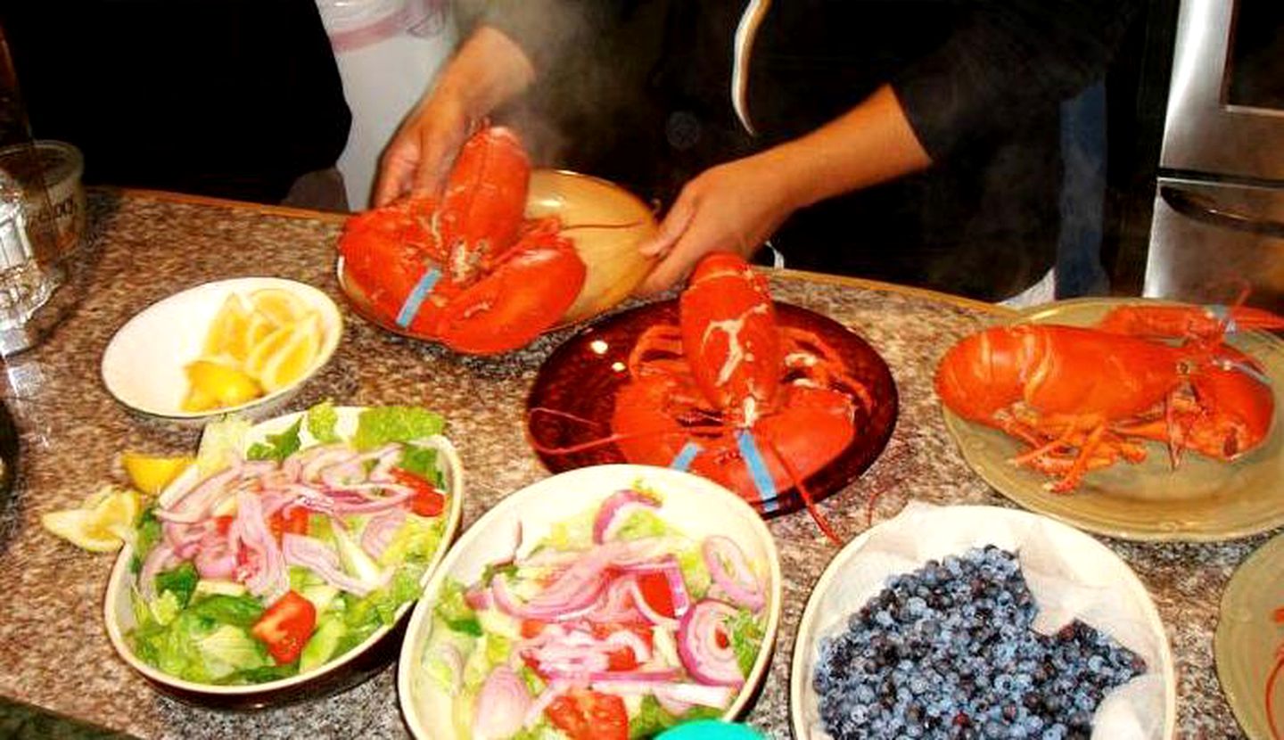 Delightful Cottage Rental with Stunning Harbor Views in Cutler, Maine