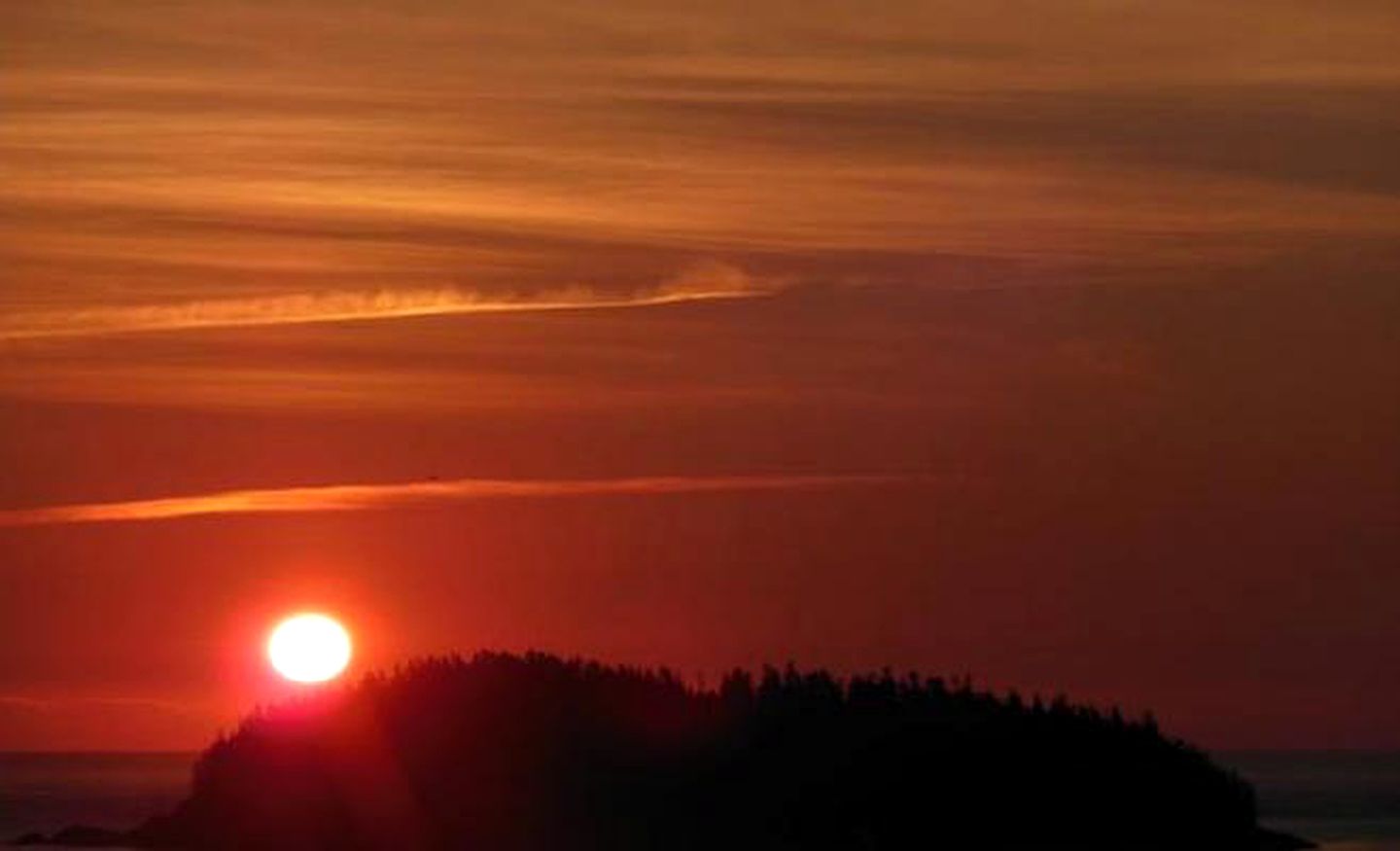 Delightful Cottage Rental with Stunning Harbor Views in Cutler, Maine