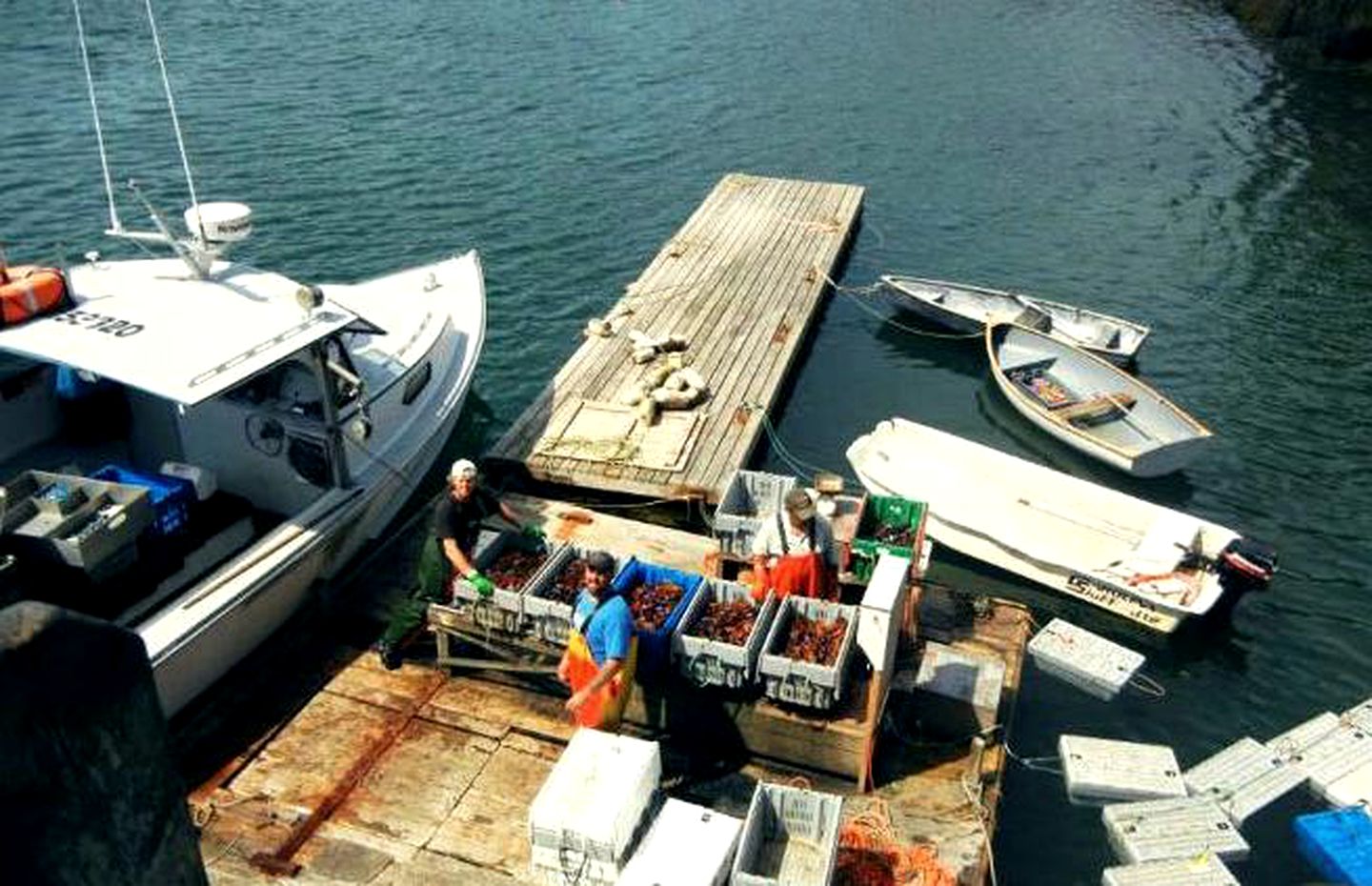 Delightful Cottage Rental with Stunning Harbor Views in Cutler, Maine