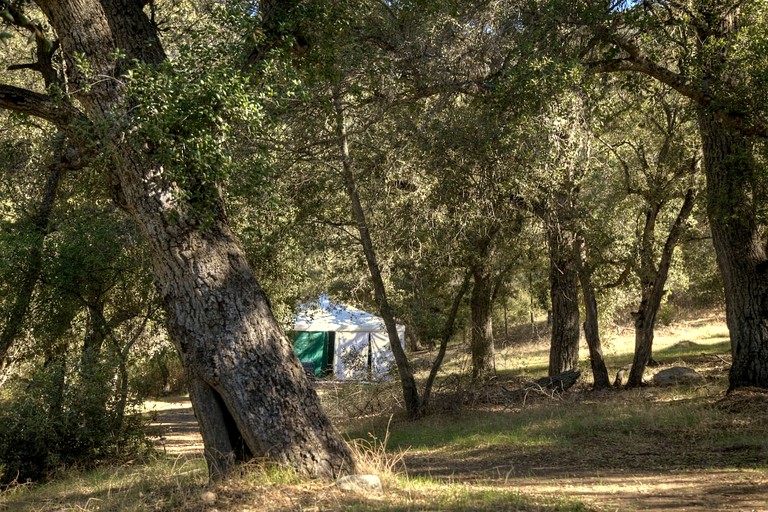 Vacation Rentals (United States of America, Palomar Mountain, California)