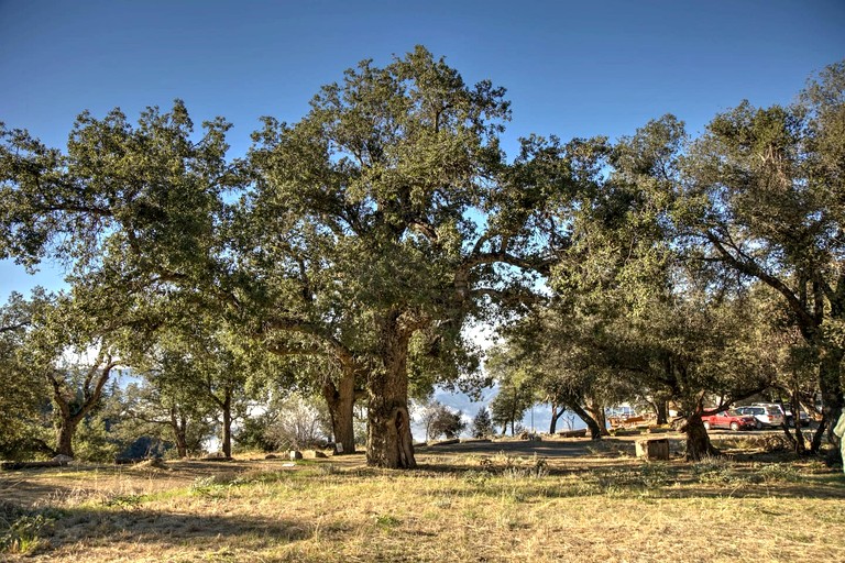 Vacation Rentals (United States of America, Palomar Mountain, California)